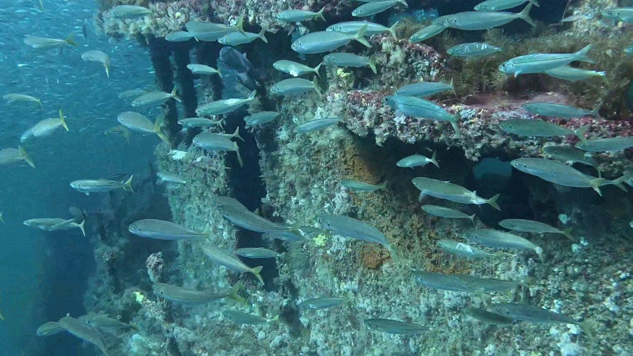 Coastal Scuba – North Myrtle Beach, SC