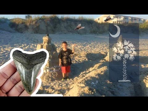 Myrtle Beach VLOG MOM..Sandcastles & we found a MEGALODON shark tooth!