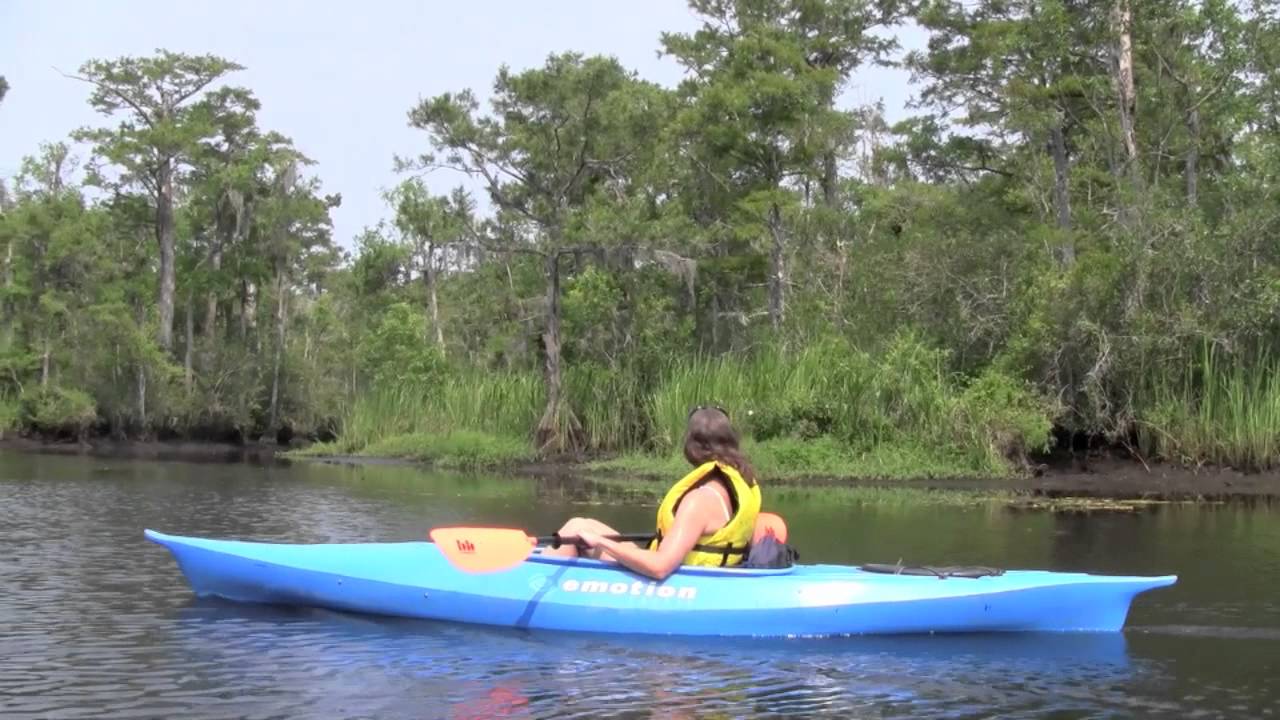 Black River Kayak Excursion July 2011 Myrtle Beach South Carolina