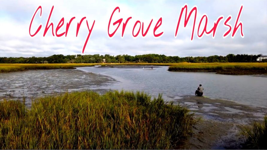 Cherry Grove Marsh, North Myrtle Beach, SC – Russell Burgess Coastal Preserve – BEAUTIFUL VIEW!!