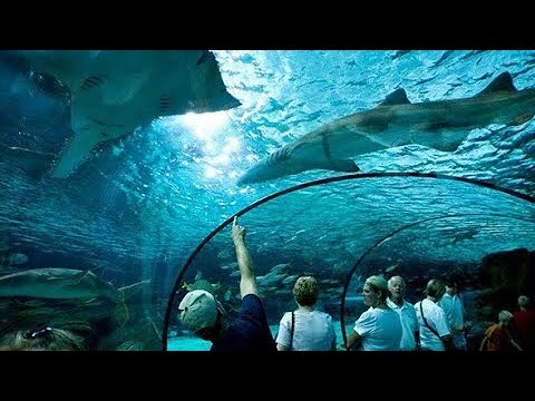 Ripley’s Aquarium Walkthrough | Myrtle Beach, SC