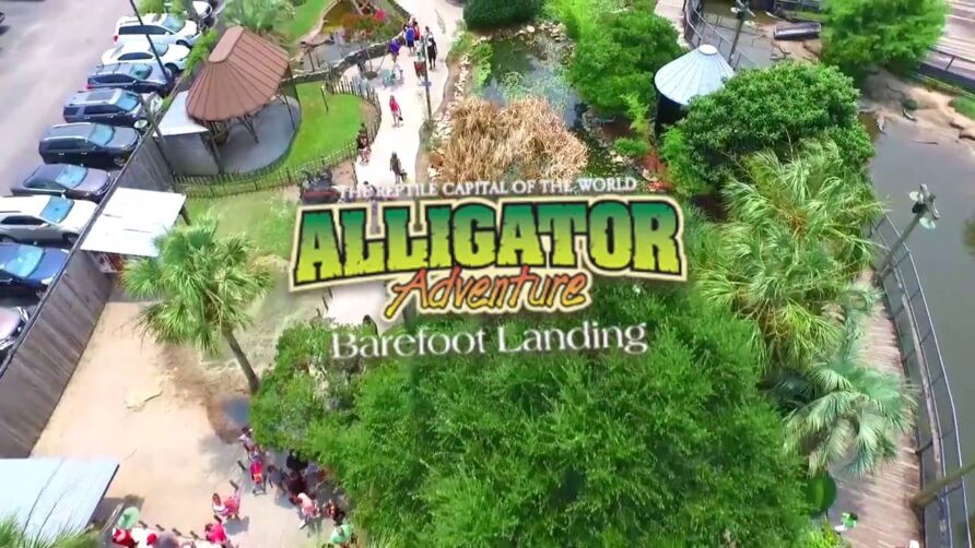 Alligator Adventure – MyrtleBeach.com