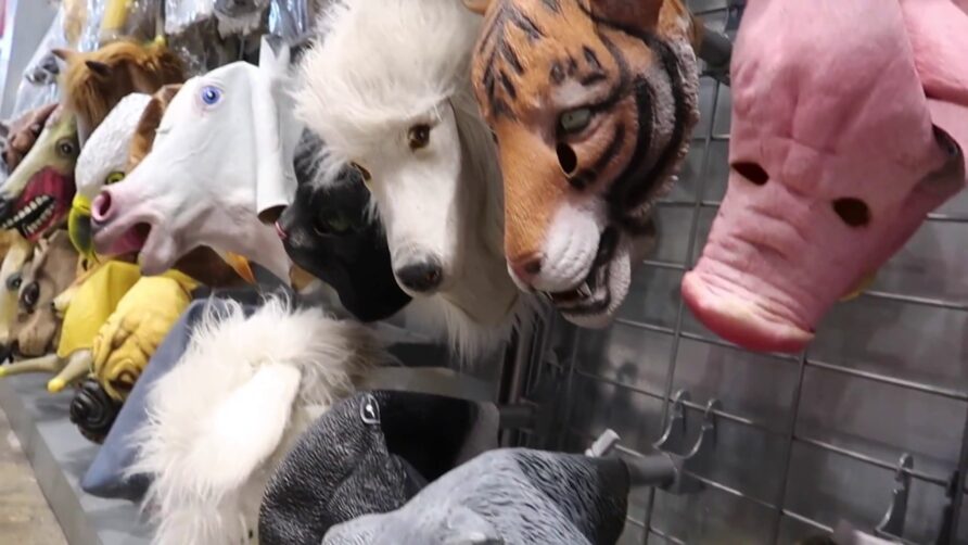 The Stupid Factory Store – Broadway At The Beach – Myrtle Beach | Attractions
