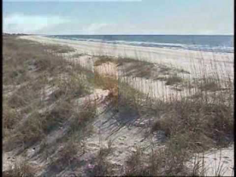 Myrtle Beach Vacation