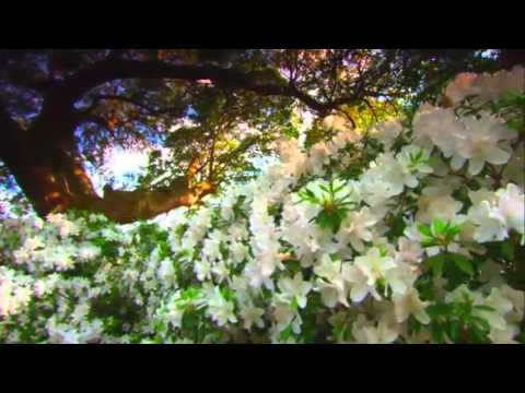 Myrtle Beach, SC  – Beyond the Beach